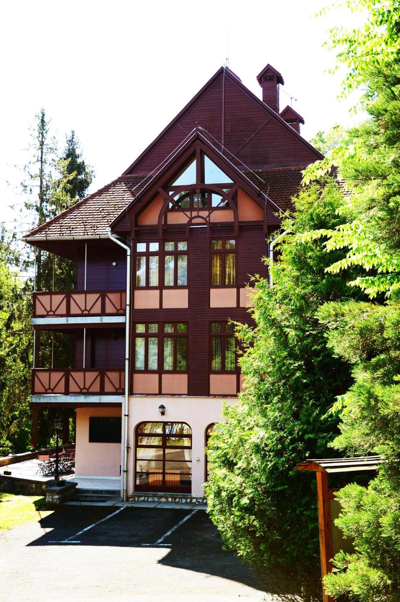 Ezuestfenyo Hotel แตลกิบานยา ภายนอก รูปภาพ